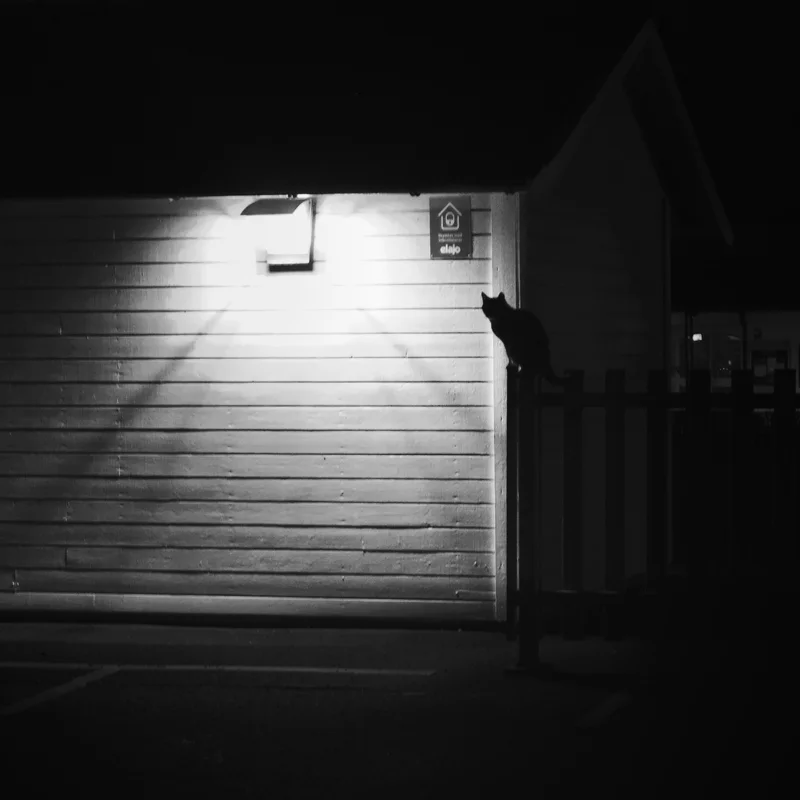 2025-12-05