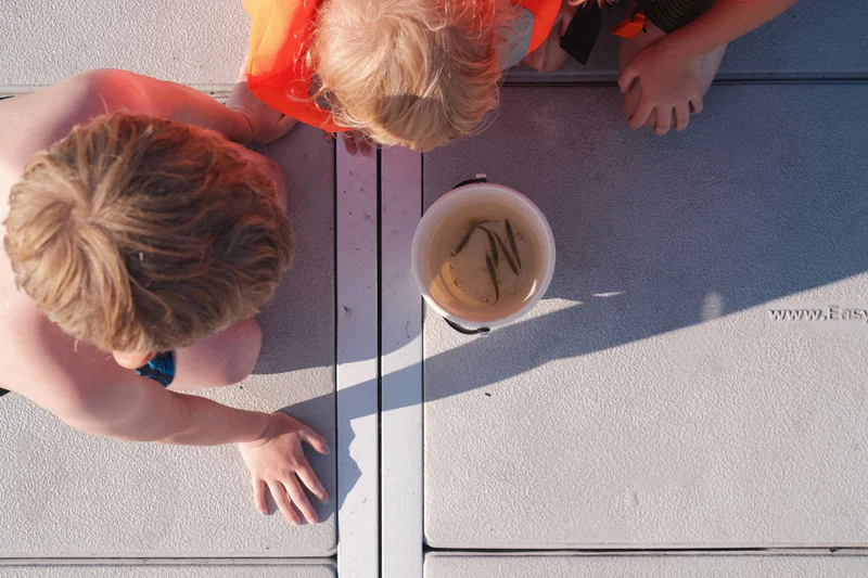 Two people lean over a small water and tiny fishes on a dock, with a third person partly visible.